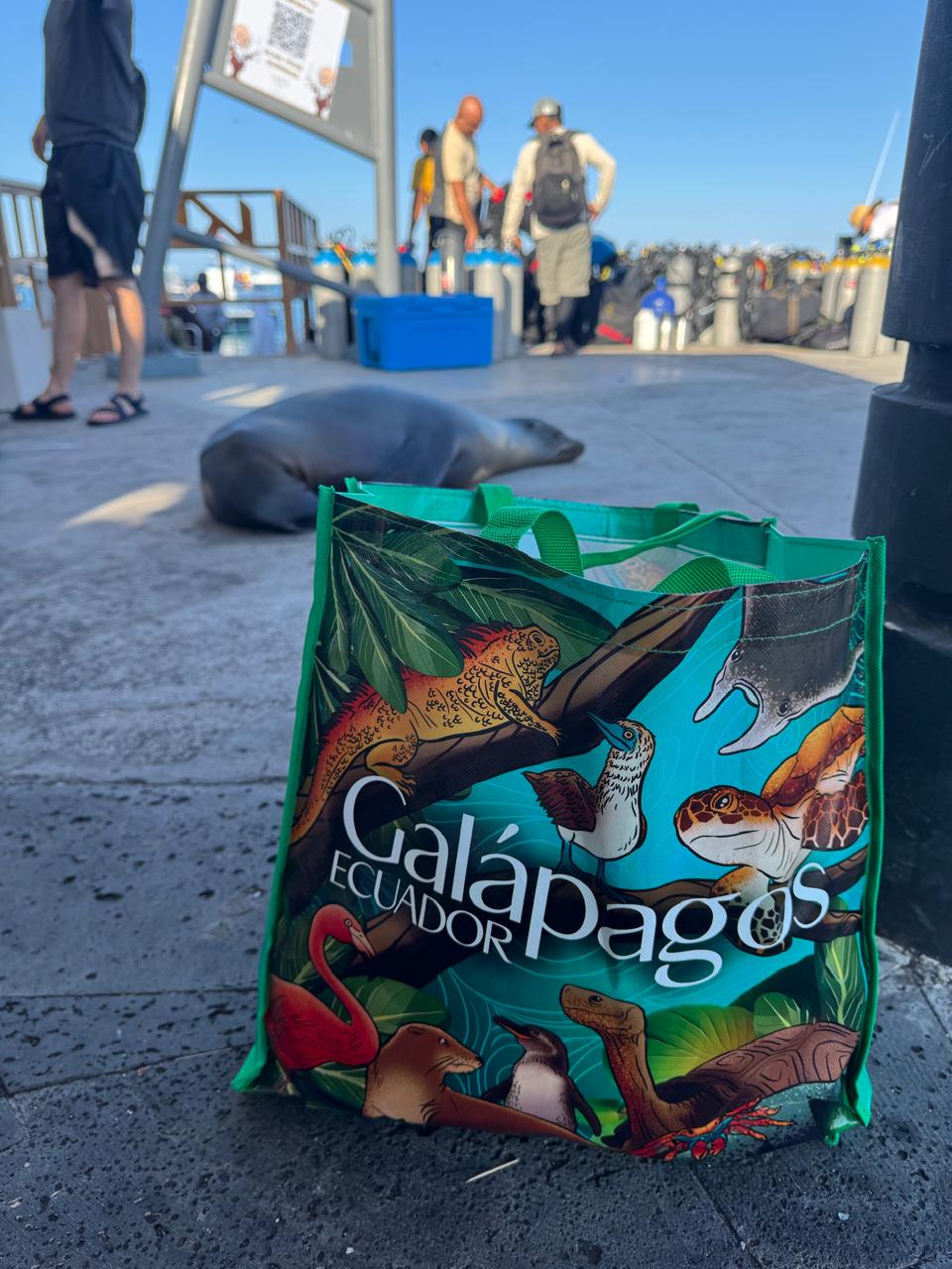 Bolso Galapagos